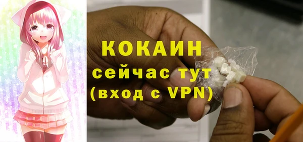мескалин Осинники