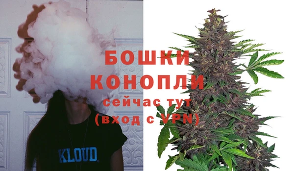 мескалин Осинники