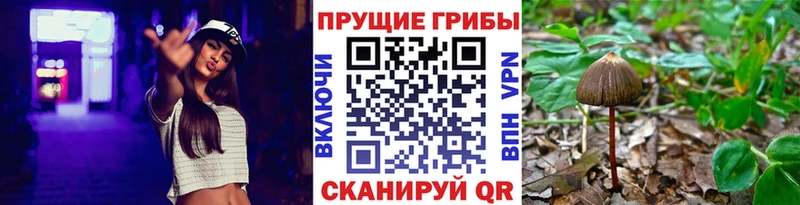 Псилоцибиновые грибы прущие грибы  Полярные Зори 