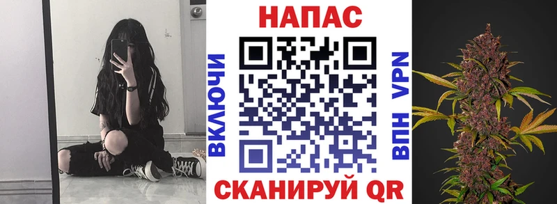 мега ссылки  Полярные Зори  Канабис OG Kush 